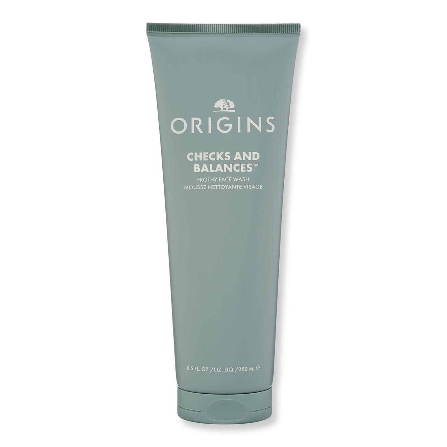 Origins Checks and Balances Frothy Face Wash